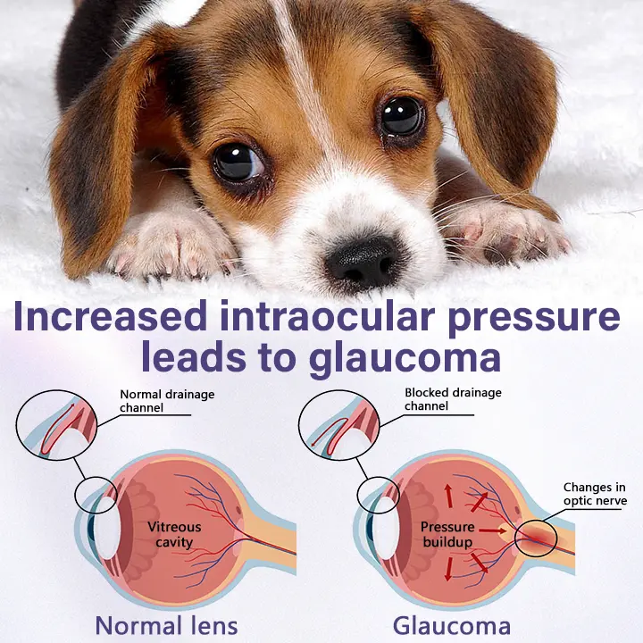 Timilk® NanoCare Pet Eye Drops🇬🇧